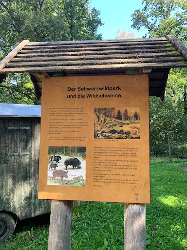 Schwarzwildpark