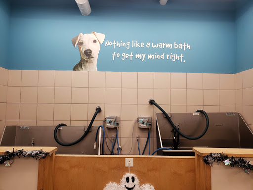 Pet Supply Store «Pet Supplies Plus», reviews and photos, 6101 Stellhorn Rd, Fort Wayne, IN 46815, USA