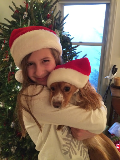 Pet Supply Store «Stoltzfus Feed & Supply», reviews and photos, 80 PA-41, Gap, PA 17527, USA