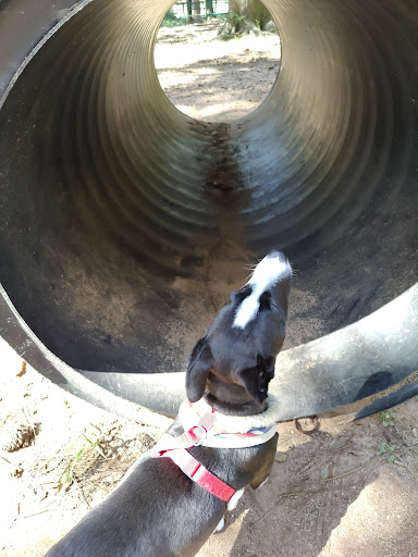 Park «Alexander Park», reviews and photos, 300 Atlanta St, McDonough, GA 30253, USA