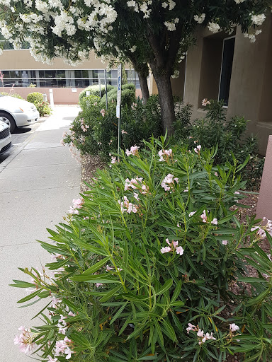 Insurance Agency «GEICO Corporate Office», reviews and photos