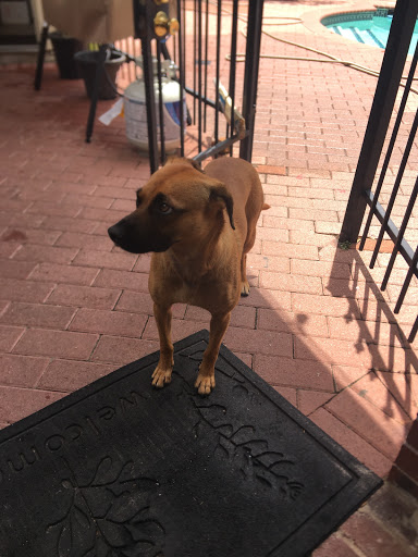 Pet Supply Store «Northern California Pet Supply and Grooming», reviews and photos, 1580 Nursery Way, McKinleyville, CA 95519, USA