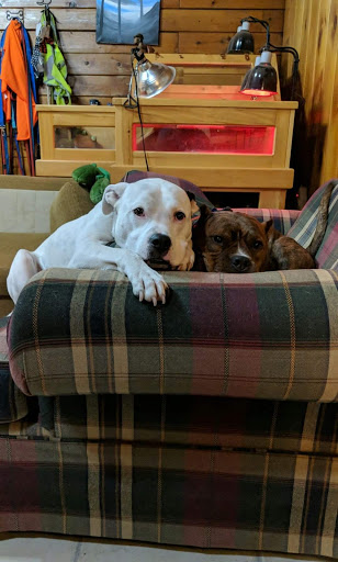 True North Veterinary Hospital