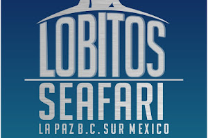 Lobitos Seafari image