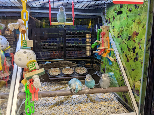 Pet Supply Store «PetSmart», reviews and photos, 11833 Dallas Pkwy, Frisco, TX 75033, USA