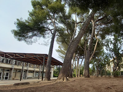 École primaire de Cuques à Aix-en-Provence