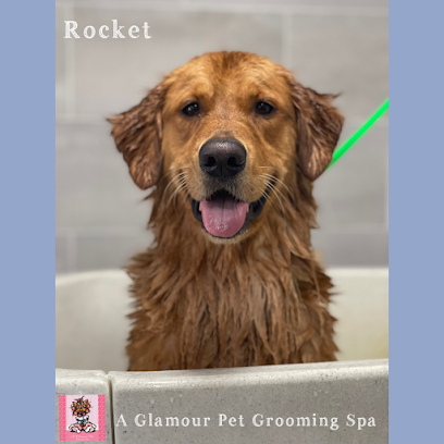 A Glamour Pet Grooming Spa