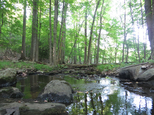 Nature Preserve «Greenbrook Nature Sanctuary», reviews and photos, Green Brook Rd, Tenafly, NJ 07670, USA