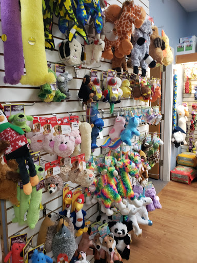 Pet Store «Claremont Pet & Aquarium Center», reviews and photos, 201 Washington St, Claremont, NH 03743, USA