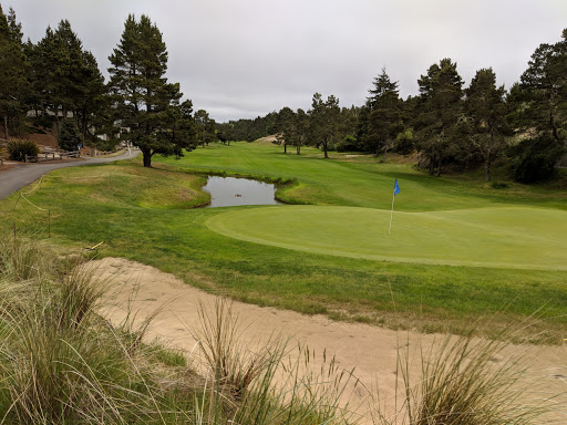 Golf Course «Ocean Dunes Golf Course», reviews and photos, 15 Onadoone Ct, Florence, OR 97439, USA