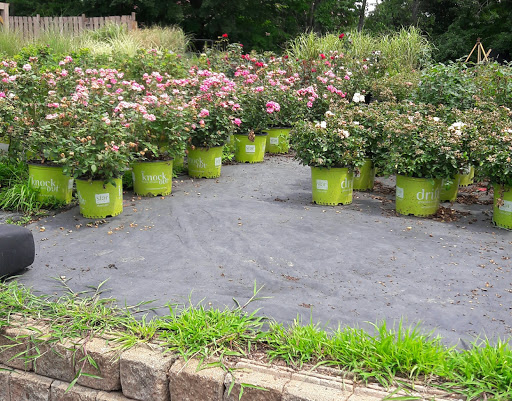 Garden Center «Delahunty Nurseries & Florist», reviews and photos, 41 Range Rd, Windham, NH 03087, USA