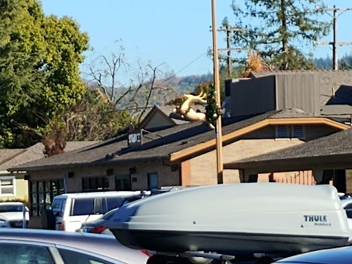 Coffee Shop «Acre Coffee», reviews and photos, 2365 Midway Dr, Santa Rosa, CA 95405, USA