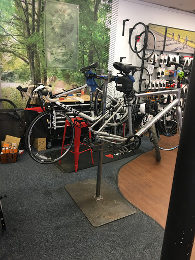 Bicycle Store «Bike Line», reviews and photos, 2900 Concord Pike, Wilmington, DE 19803, USA