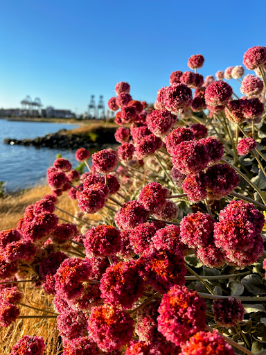 Middle Harbor Shoreline Park image