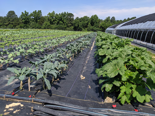 Agricultural organization Richmond