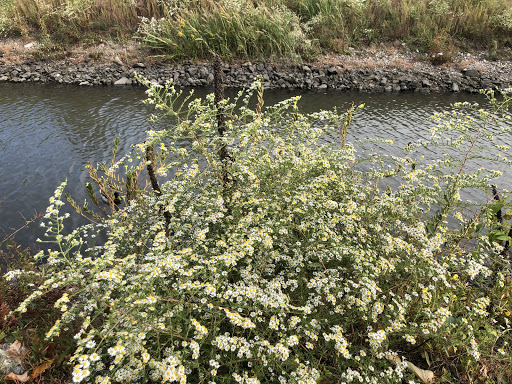 Park «Pierson Park», reviews and photos, 238 W Main St, Tarrytown, NY 10591, USA