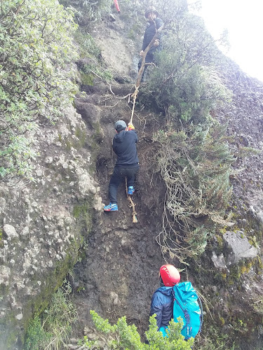 Opiniones de Criadero AnsoldeCotopaxi en Latacunga - Museo