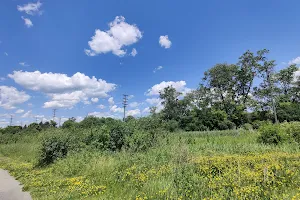 Palatine Prairie image