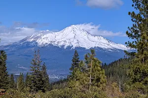 Mount Shasta Wilderness image