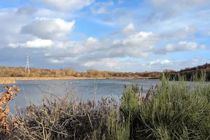 Wigan Flashes Local Nature Reserve image