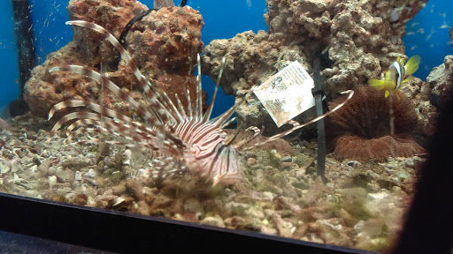 Pet Supply Store «Petco Animal Supplies», reviews and photos, 5239 Harvey St, Norton Shores, MI 49444, USA