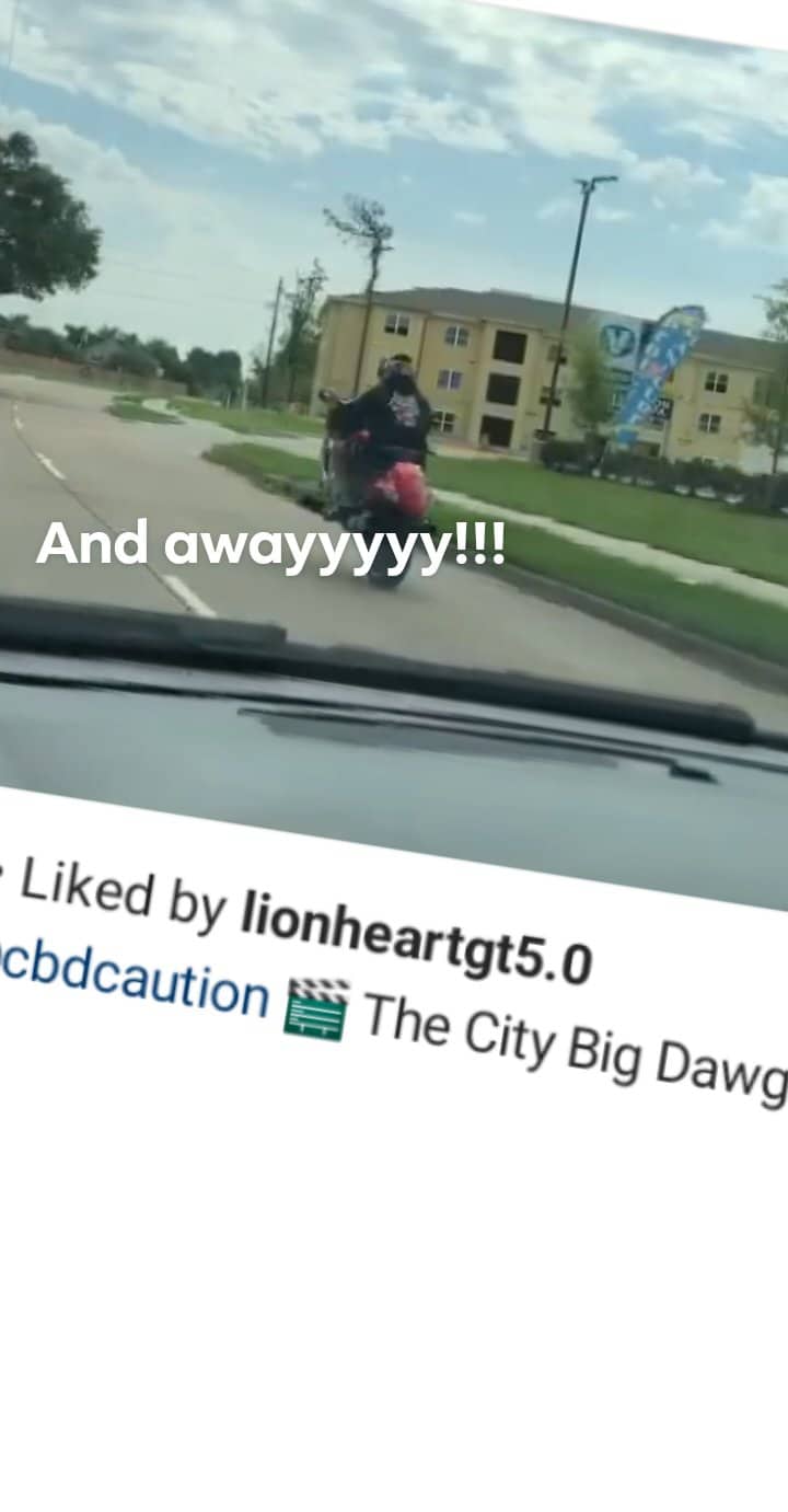 City Big Dog Entertainment