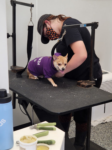 Animal Feed Store «West Lebanon Feed & Supply», reviews and photos, 12 Railroad Ave, West Lebanon, NH 03784, USA