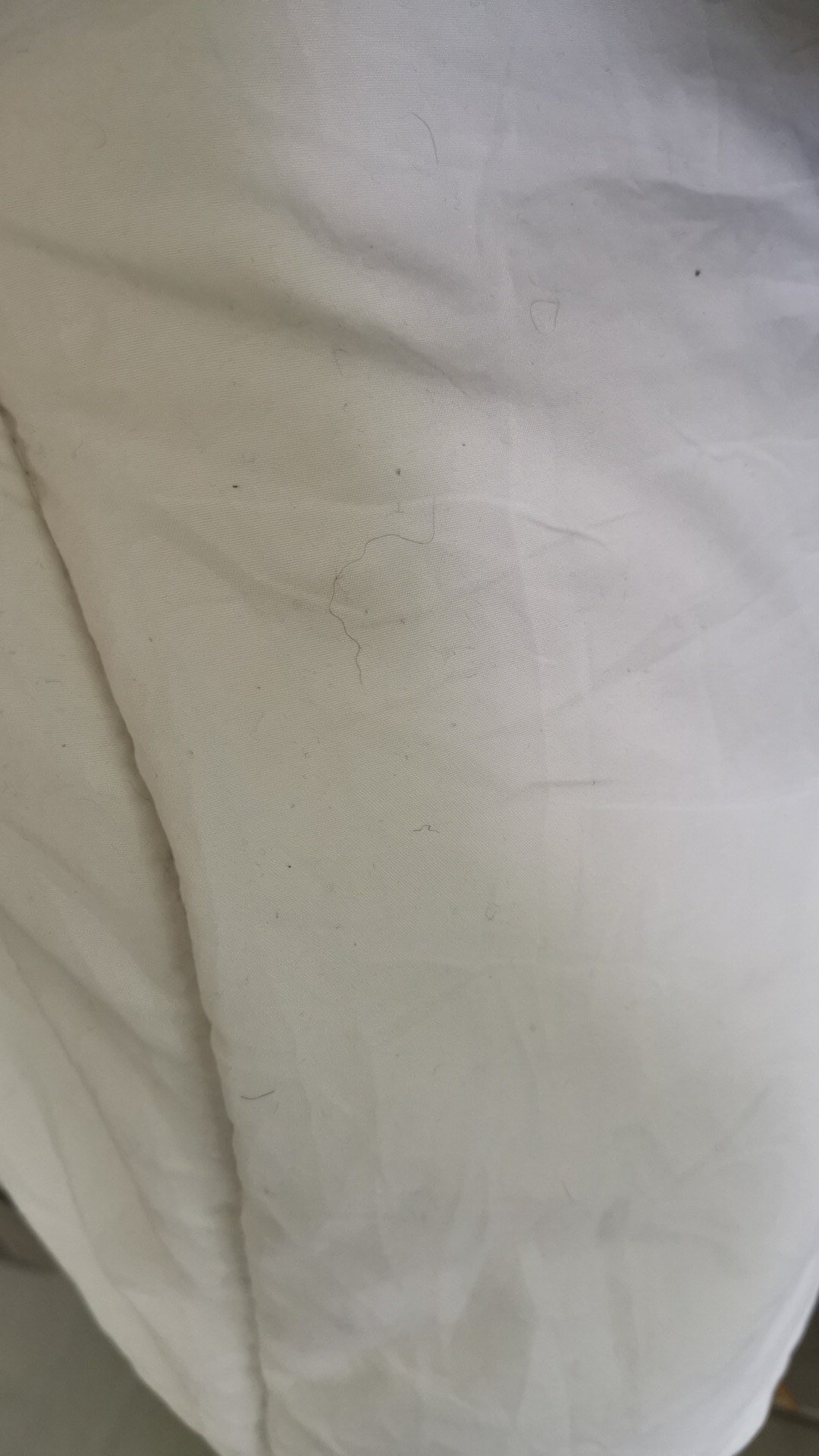 Photo n° 1 de l'avis de Franck.o fait le 25/09/2019 à 08:48