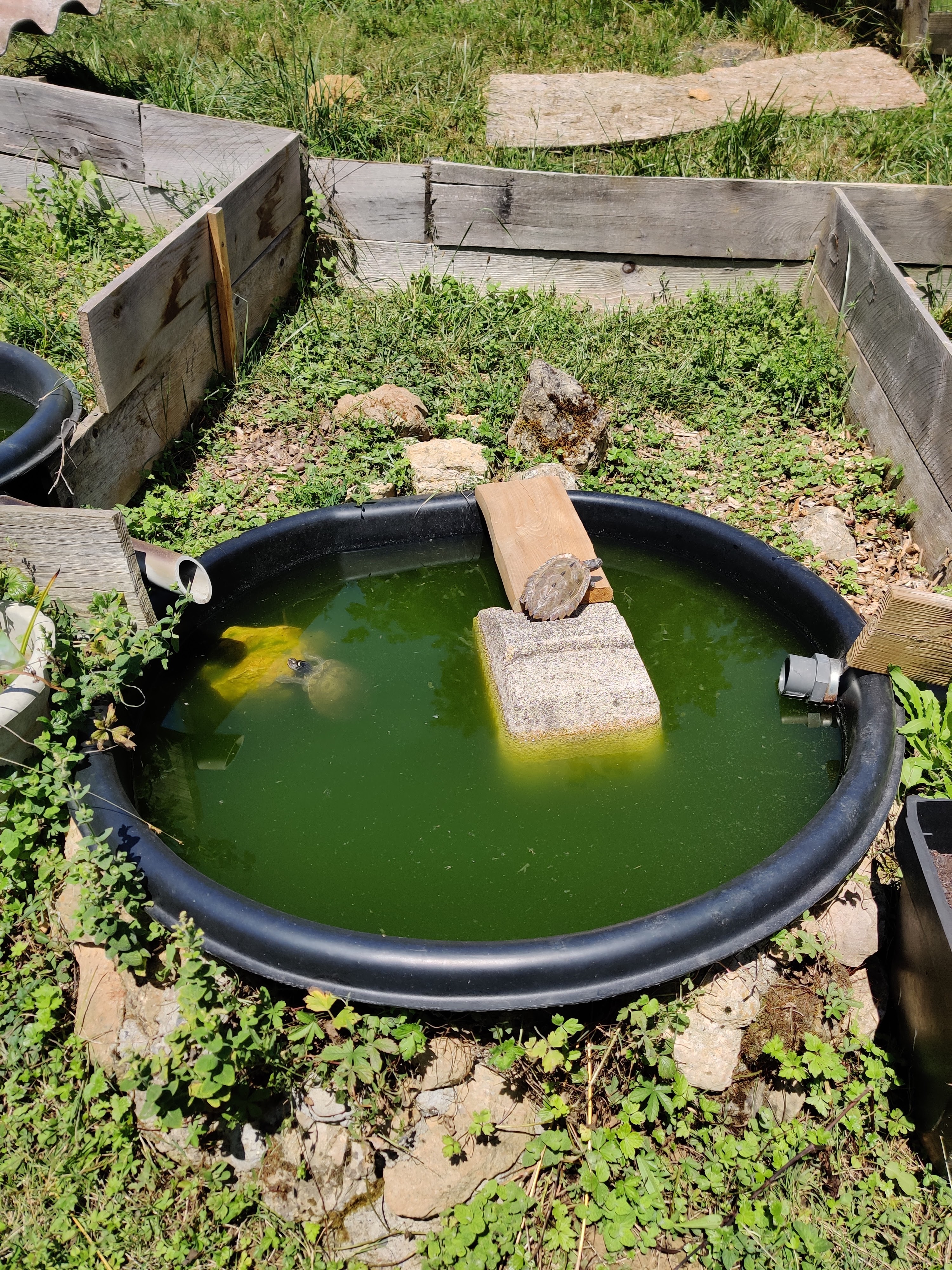 Photo n° 2 de l'avis de christophe.r fait le 09/07/2021 à 14:21