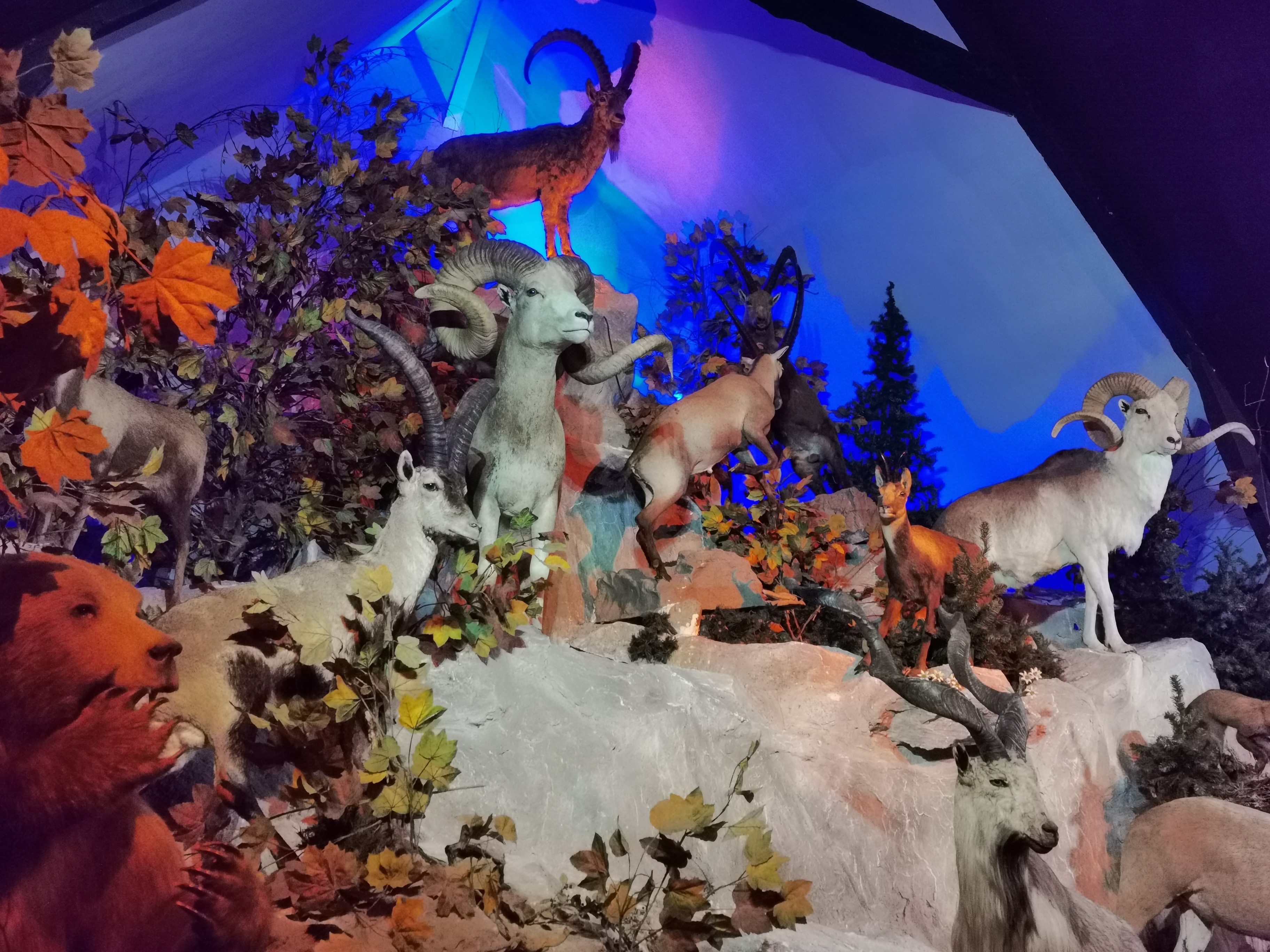 Photo n° 3 de l'avis de Clement.r fait le 17/08/2023 à 05:06