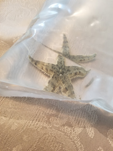 Pet Store «Aquarium», reviews and photos, 6410 Papermill Pl Way, Knoxville, TN 37919, USA