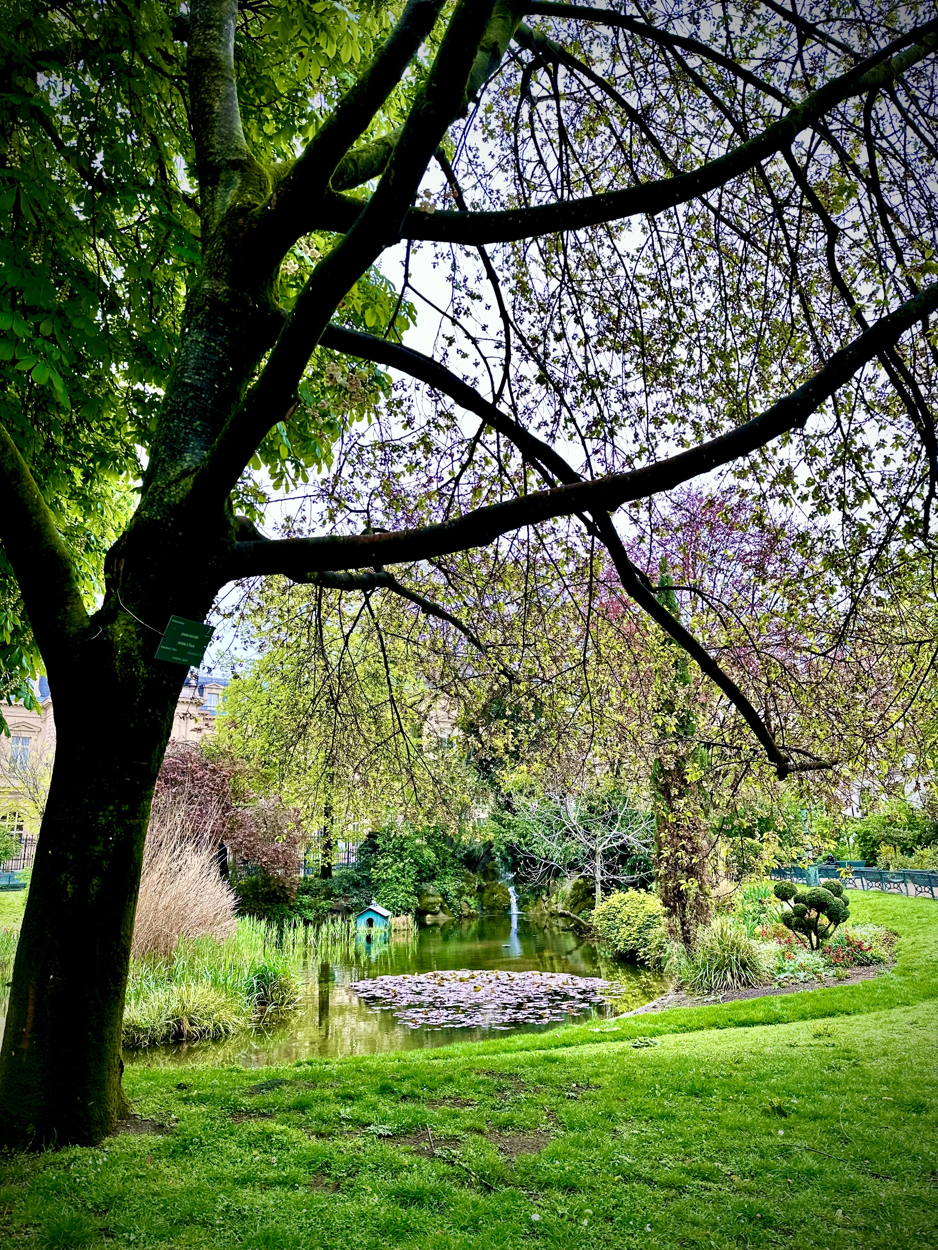 Photo n° 17 de l'avis de Ti.a fait le 25/04/2023 à 15:57