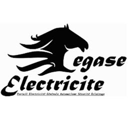 PEGASE ELECTRICITE à Viry-Châtillon