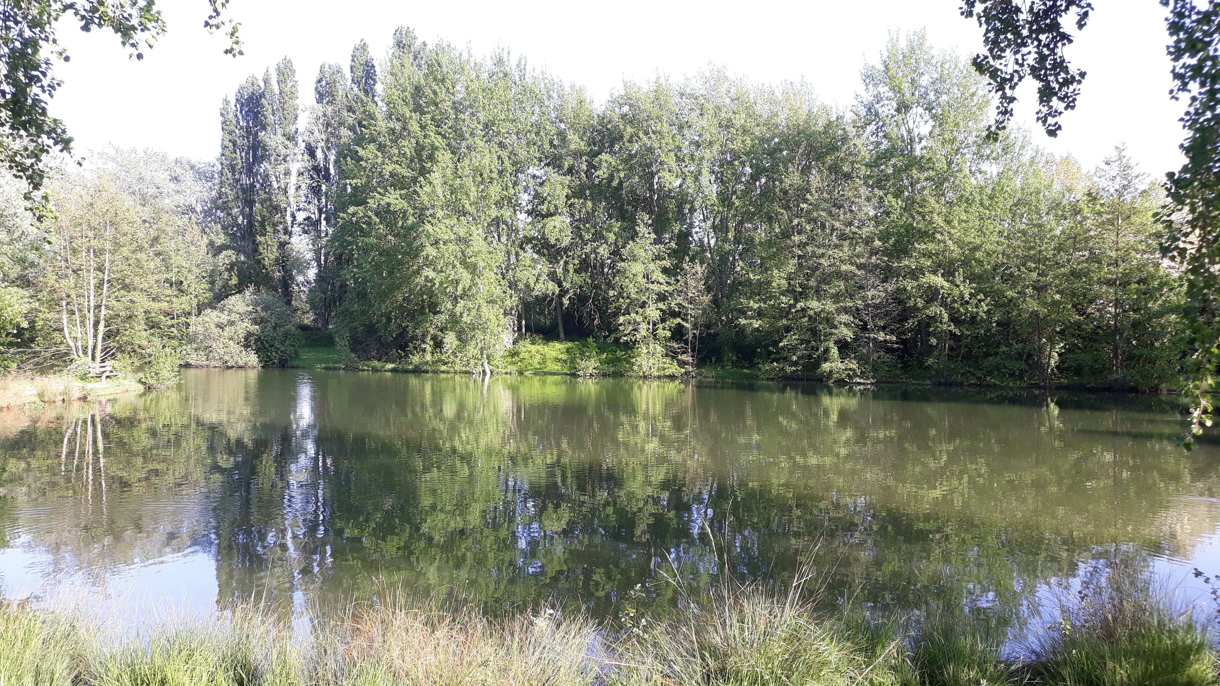 Photo n° 3 de l'avis de didial. fait le 02/07/2020 à 09:30