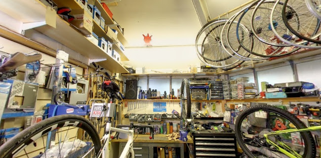 Reviews of Square Wheels in Glasgow - Bicycle store
