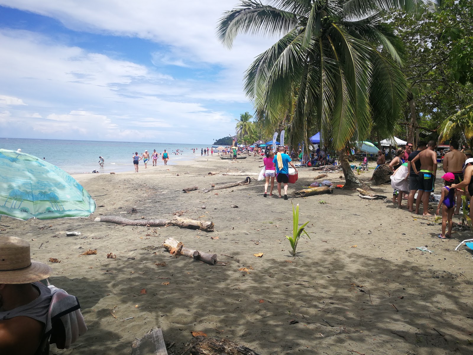 Manzanillo beach photo #8