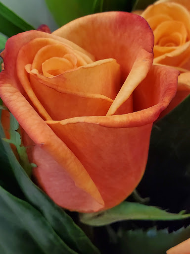 Grocery Store «Safeway», reviews and photos, 500 Cleveland Ave SE, Tumwater, WA 98501, USA