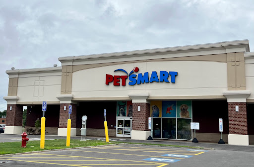 Pet Supply Store «PetSmart», reviews and photos, 3401 Erie Blvd E, Syracuse, NY 13214, USA