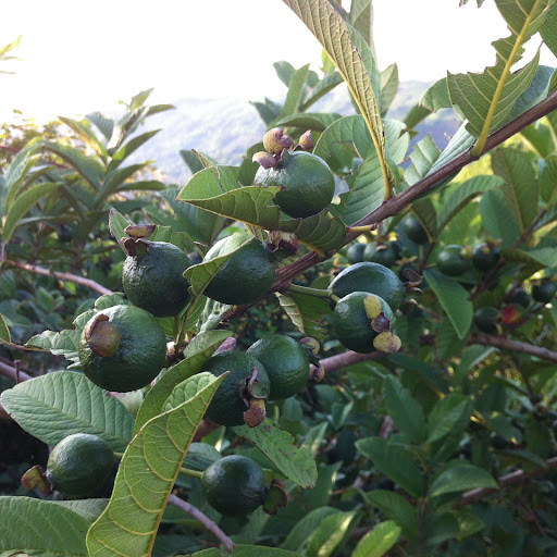 Top 18 trang trí cửa hàng Huyện Ba Tơ Quảng Ngãi 2022