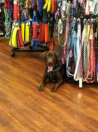 Naturally Unleashed Pet Nutrition Center - Photo 9 - Car repair in Fayetteville, NC, Fayetteville