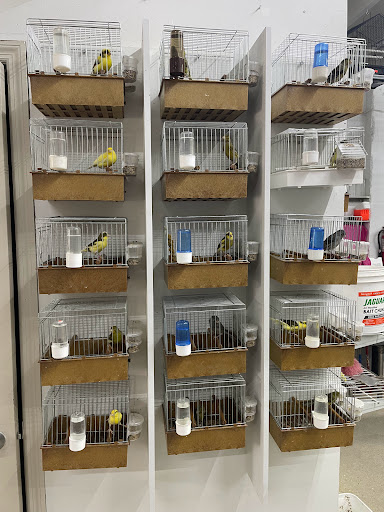 Bird Shop «Gallegos Pet Shop», reviews and photos, 3131 W 80th St, Hialeah, FL 33018, USA