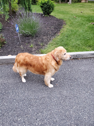 Pet Supply Store «PetSmart», reviews and photos, 139 Radio Dr, Stroudsburg, PA 18360, USA