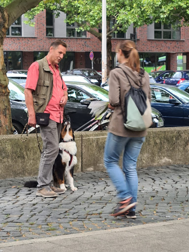 Hundeschule PfotenGlück Hannover