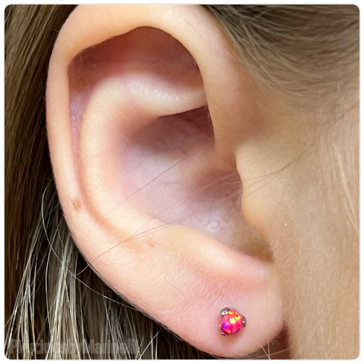 Explore okinawa tattoo ideas, creative tattoo ideas in Wilmington, available at Studio Seven Piercing