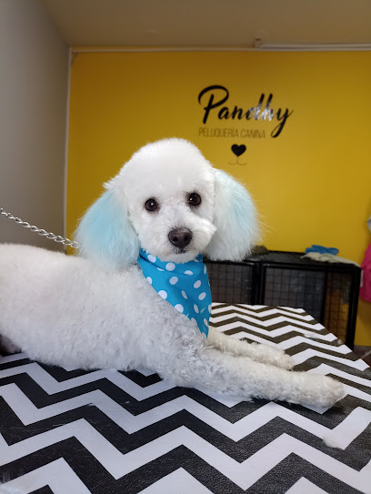 Pandhy Peluquería Canina