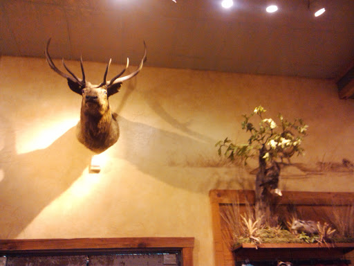 Sporting Goods Store «Bass Pro Shops», reviews and photos, 11550 Lakeridge Pkwy, Ashland, VA 23005, USA