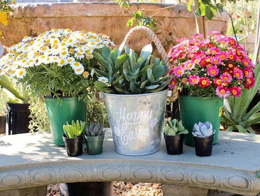 Glendora Gardens Nursery image