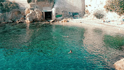 Plage de Maldorme'in fotoğrafı vahşi alan