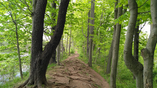 Liquor Store «Liquor Barn», reviews and photos, 1007 Old York Rd, Raritan, NJ 08869, USA