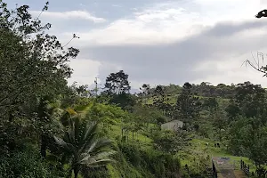 Costa Rican Amphibian Research Center image